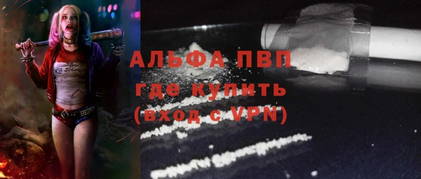 СК Арсеньев