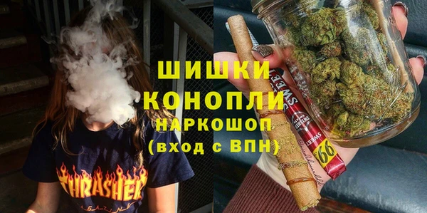 крисы Аркадак