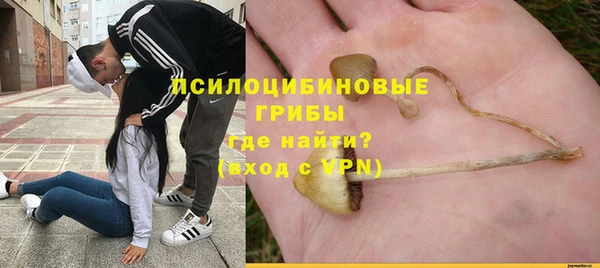 СК Арсеньев
